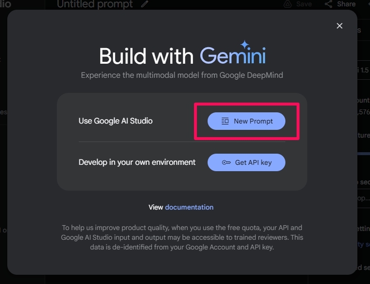 Gemini11.jpg