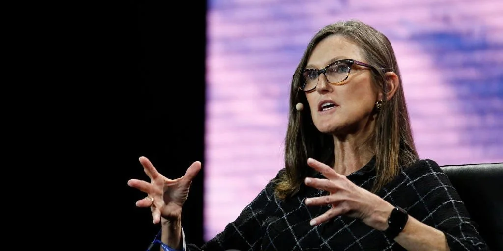 cathie-woods-ark-invest-has-destroyed-14-billion-in-wealth-v0-bfknArxgvllhhc_6Eh755NEf6sTogXY2QfOz-i688fw.webp.webp