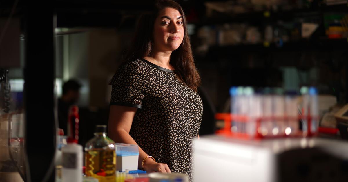 Can AI help us age better? Bay Area scientists are trying to find out