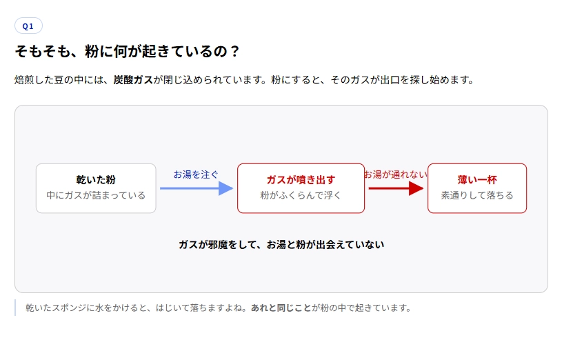 image.png.webp
