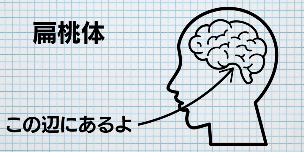 タイトル (5).png.webp