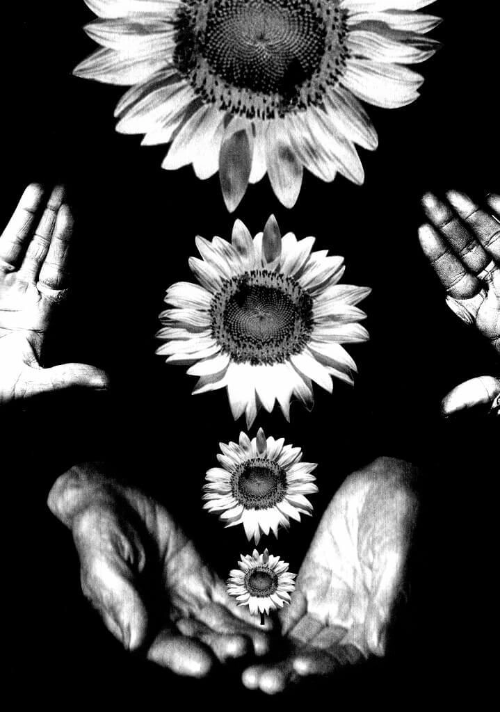 Behance001 (719x1024).jpg.webp