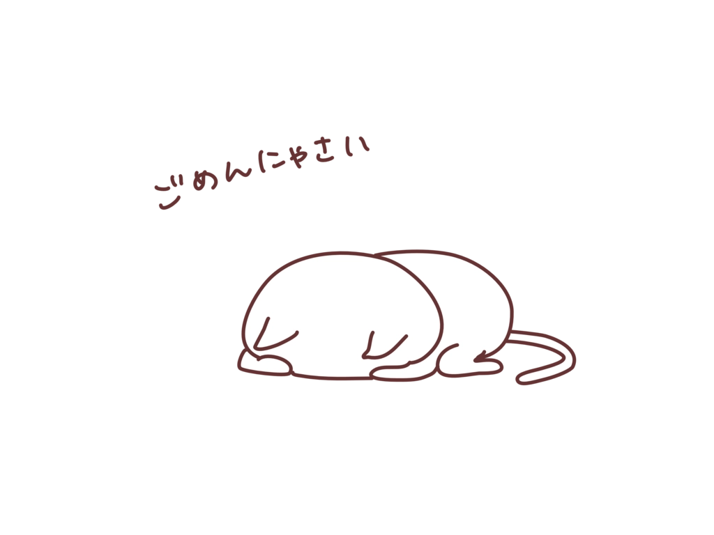 2572728.png.webp
