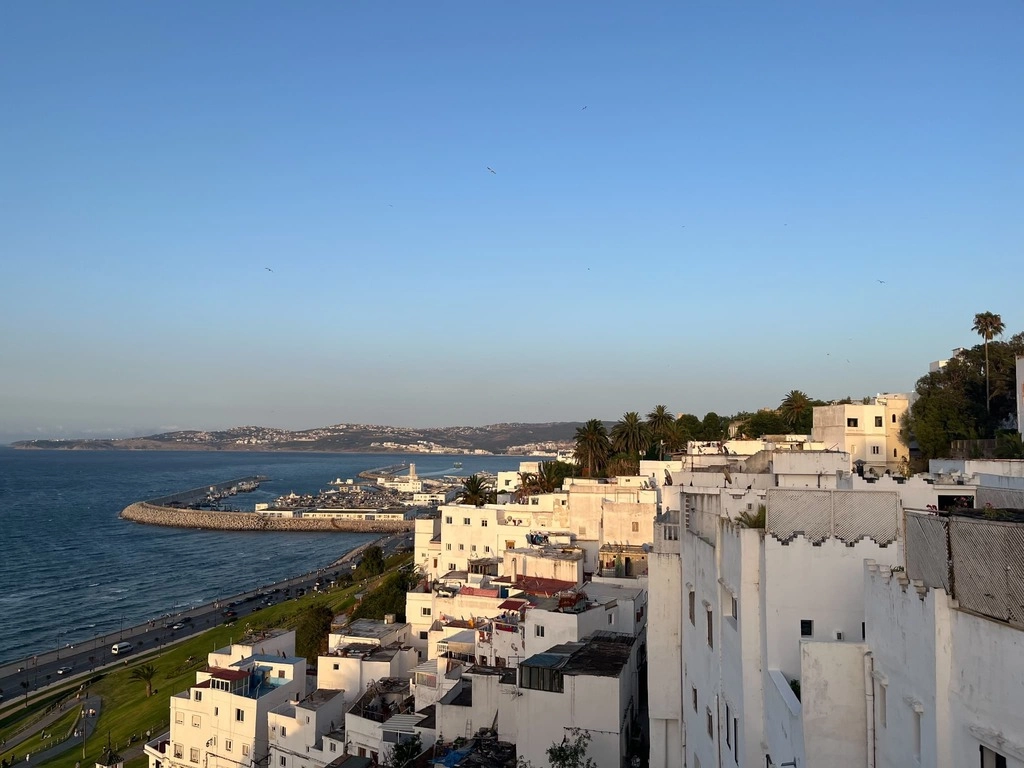 S__30613523.jpg.webp