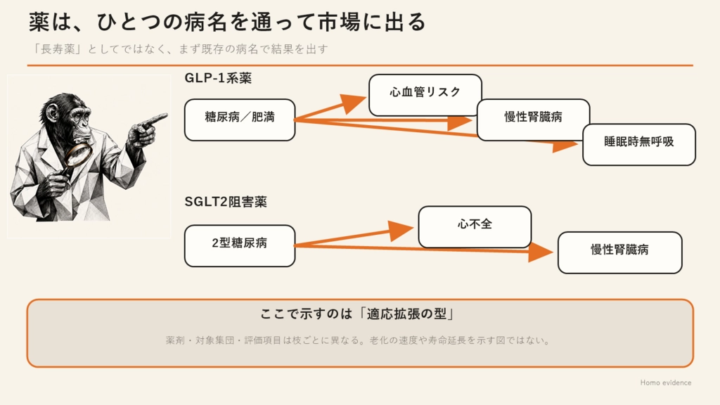 チンパンジーの研究者が、GLP-1系薬とSGLT2阻害薬が病名ごとの承認を通じて適応領域を広げてきた道筋を指し示す図。