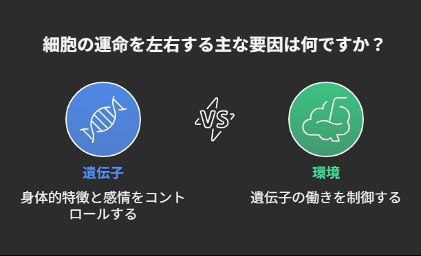 「氏か育ちか」論争の、本当の答え - visual selection.png.webp